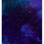 Blueberry_berry