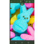 The peep Team :3