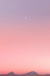 SUNNY’s CORNER CHATS