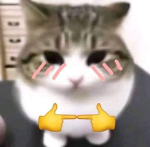 Jose is Thick