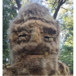 Angry bigfoot