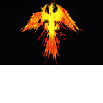 NICK_ROBLOX