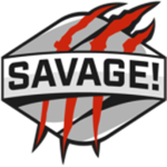 salvage savage
