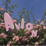 avion. Group Thumbnail