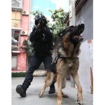 swat rp on liberty county
