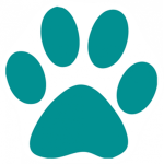Paw Squad🐾