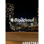$bloodsoul