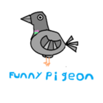 Funny Pigeon