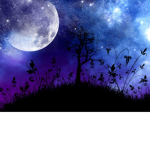 Moonfull cafe.