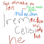aa meir