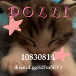 D O L L I