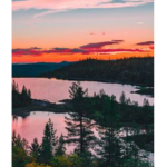 ~Sunset Cat~