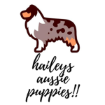 *-haileys aussie puppies-*