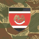 [-Rhodesian Defence Regiment-]