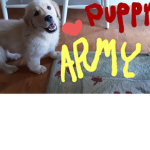 Puppy army OFFICIAL