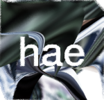 hae's studios