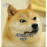 우피 빡빡이 파
