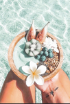 |+ lilys adores +|