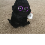 Beanie boo fans