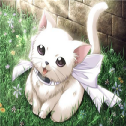 Anime White Kitteh!!! Roblox decal
