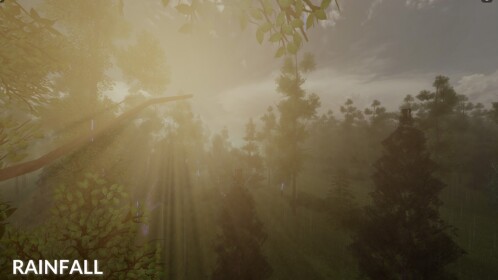 rainfall