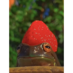 BEANSSSSSSSSSS