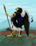 warriorbirds