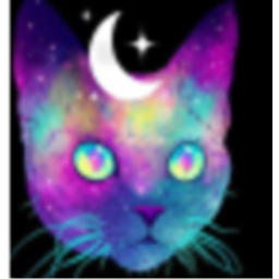 cat paradise 1.0