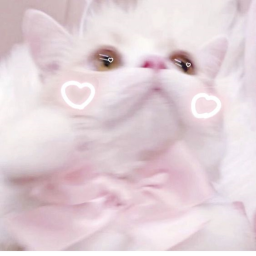 ♡