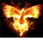 phoenix army (CATALOG HEAVEN)