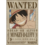 Luffy Fan's