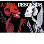 ANGEL DESCENDS