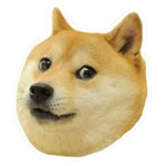 PerroPro Followers