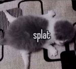 Gamingcat studio’s
