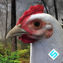 Chicken Simulator beta 3.0