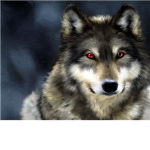 The Wolven Death Knights