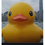 Rubber Ducky club house