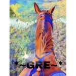 * ~ Ginger River Equestrian ~ *