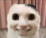 Meeeeeeeeeemweeee