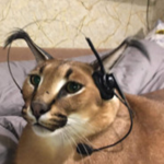 Gamer Bacons