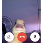 hez4ki on twitch