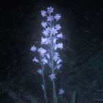 moonlit alyssms