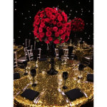 Brianna’s Quinceañera
