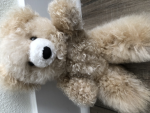 Baby teddy bear group