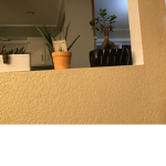 Oilvia