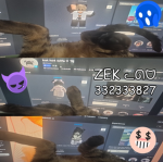 ZEK ᓚᘏᗢ