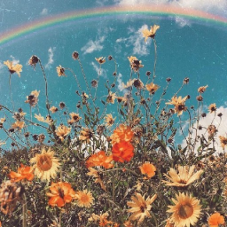 🦋