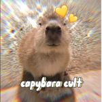 _capybara cult_