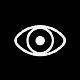 VisionaryX