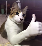 1m_Amama